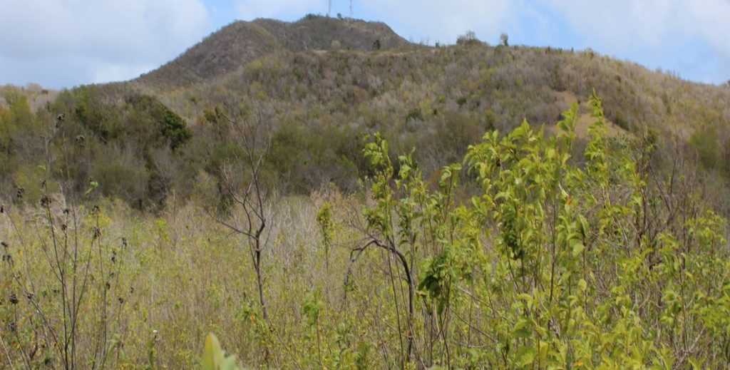 2.0 acres of land at Spring Hill Estate