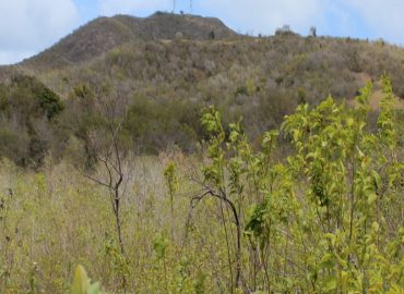 2.0 acres of land at Spring Hill Estate