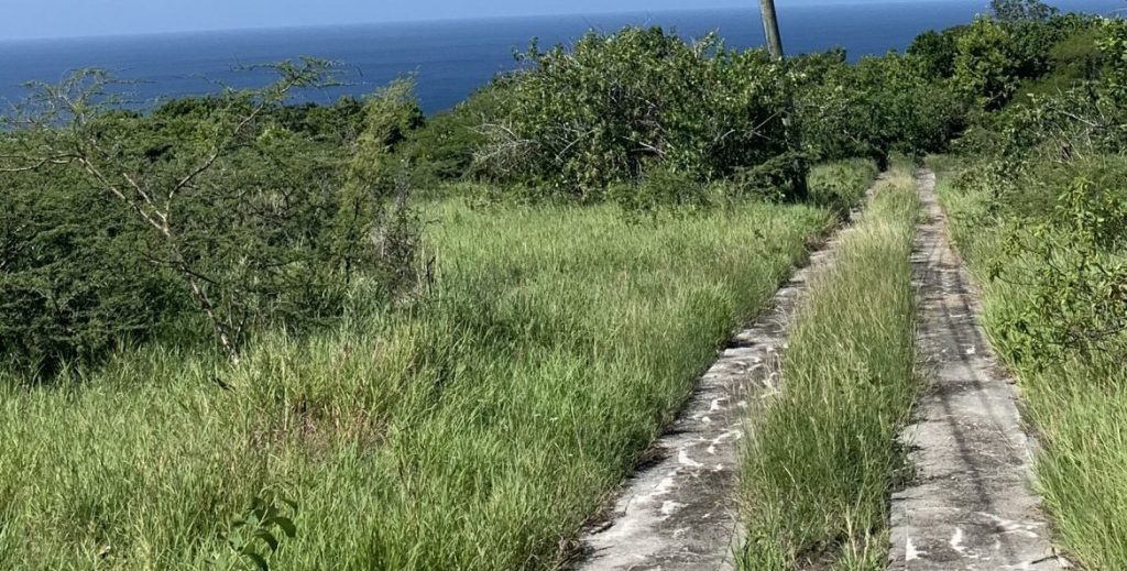 36,726 square feet of land situate at Spring Hill Estate