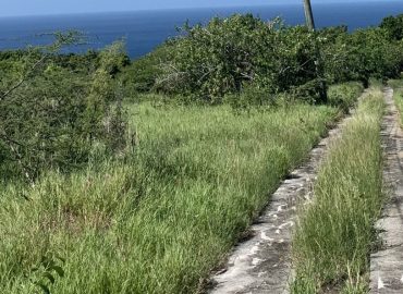 36,726 square feet of land situate at Spring Hill Estate