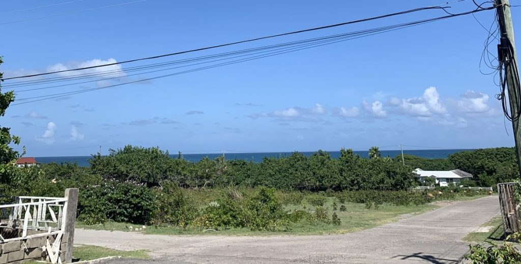 1.091 acres of land at Nisbett’s Estate